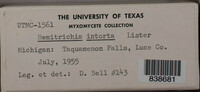 Image Associated With the Occurence